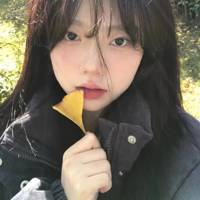 献给阿尔吉侬的花束